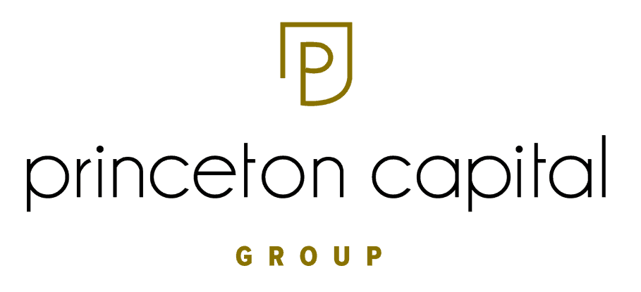 Princeton Capital logo 1 1 Princeton Capital logo 1 1